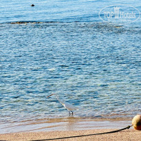 фото из отзыва ID 2645782