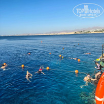 фото из отзыва ID 2645782