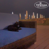 фото из отзыва ID 2645802