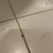 фото из отзыва ID 2645814