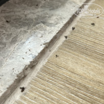 фото из отзыва ID 2645837