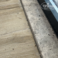 фото из отзыва ID 2645837