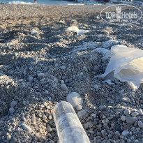 фото из отзыва ID 2645837