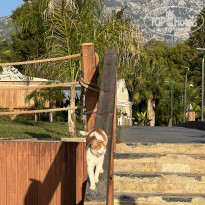 фото из отзыва ID 2645837