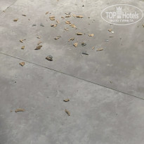 фото из отзыва ID 2645837