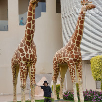 фото из отзыва ID 2645912