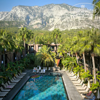 фото из отзыва ID 2645970