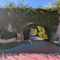 фото из отзыва ID 2645863