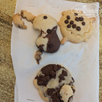 фото из отзыва ID 2645863