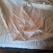 фото из отзыва ID 2646054