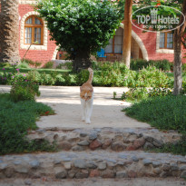 фото из отзыва ID 2646094