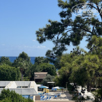 фото из отзыва ID 2646096