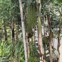 фото из отзыва ID 2646166