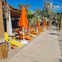 фото из отзыва ID 2646174