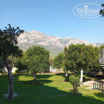 фото из отзыва ID 2646180