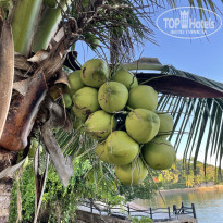 фото из отзыва ID 2646166