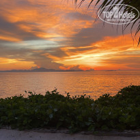 фото из отзыва ID 2646166