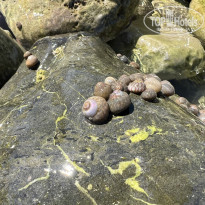 фото из отзыва ID 2646251