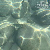 фото из отзыва ID 2646251