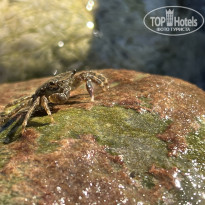 фото из отзыва ID 2646251