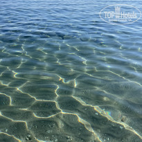 фото из отзыва ID 2646251