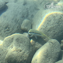 фото из отзыва ID 2646251