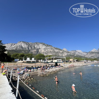 фото из отзыва ID 2646251