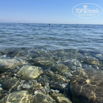 фото из отзыва ID 2646251