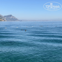 фото из отзыва ID 2646251