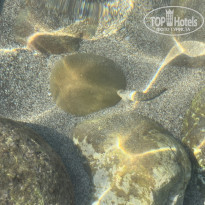 фото из отзыва ID 2646251