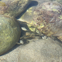 фото из отзыва ID 2646251