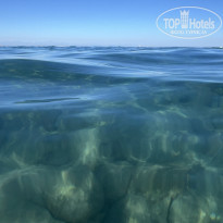 фото из отзыва ID 2646251