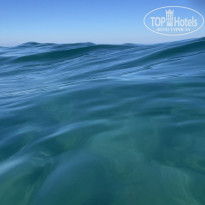 фото из отзыва ID 2646251