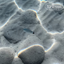 фото из отзыва ID 2646251