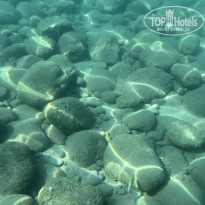 фото из отзыва ID 2646251