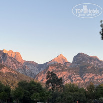 фото из отзыва ID 2646251