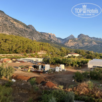 фото из отзыва ID 2646251