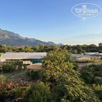 фото из отзыва ID 2646251