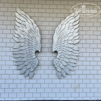 фото из отзыва ID 2646251