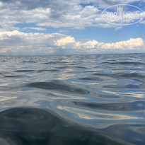 фото из отзыва ID 2646251