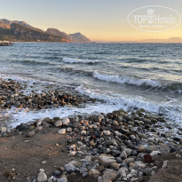 фото из отзыва ID 2646251