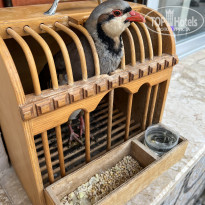 фото из отзыва ID 2646251