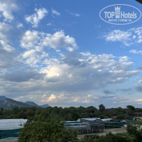 фото из отзыва ID 2646251