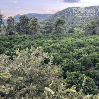 фото из отзыва ID 2646251