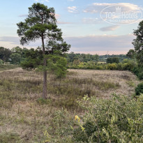 фото из отзыва ID 2646251