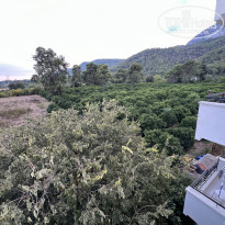 фото из отзыва ID 2646251