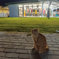 фото из отзыва ID 2646317