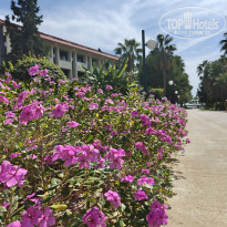 фото из отзыва ID 2646317