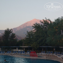 фото из отзыва ID 2646340