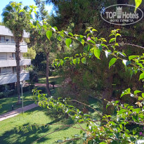 фото из отзыва ID 2646357